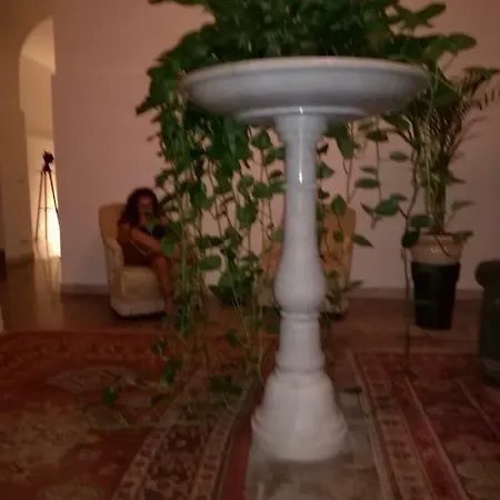 Affittacamere Palazzo Al Carmine Dimora Storica *